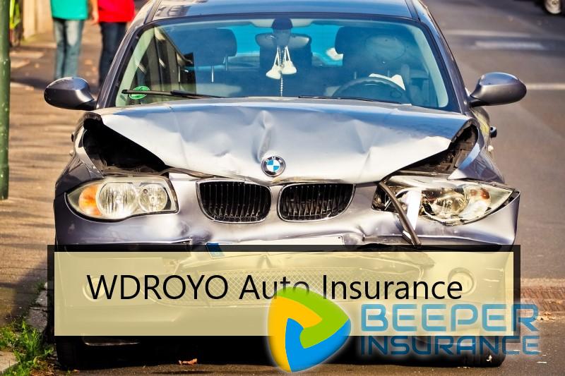 WDROYO Auto Insurance